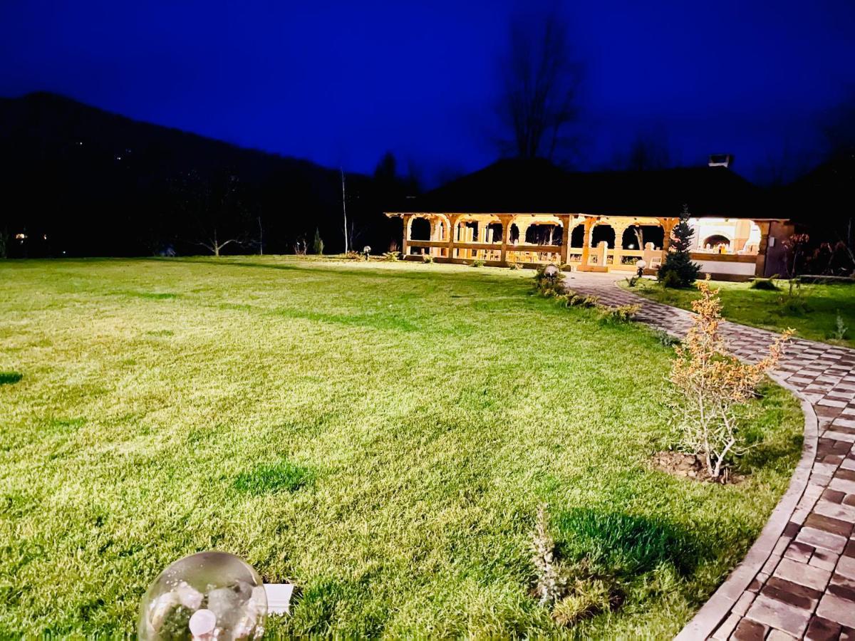 Pensiunea Coronita Vişeu de Sus Extérieur photo