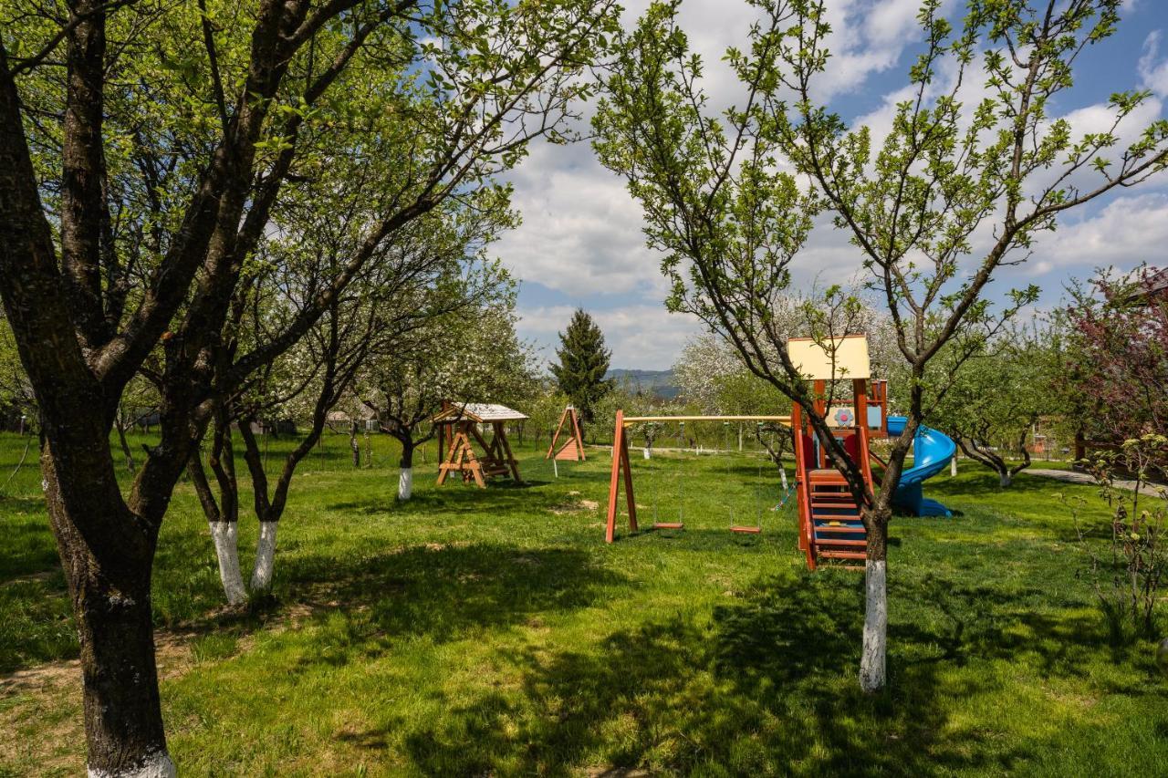 Pensiunea Coronita Vişeu de Sus Extérieur photo