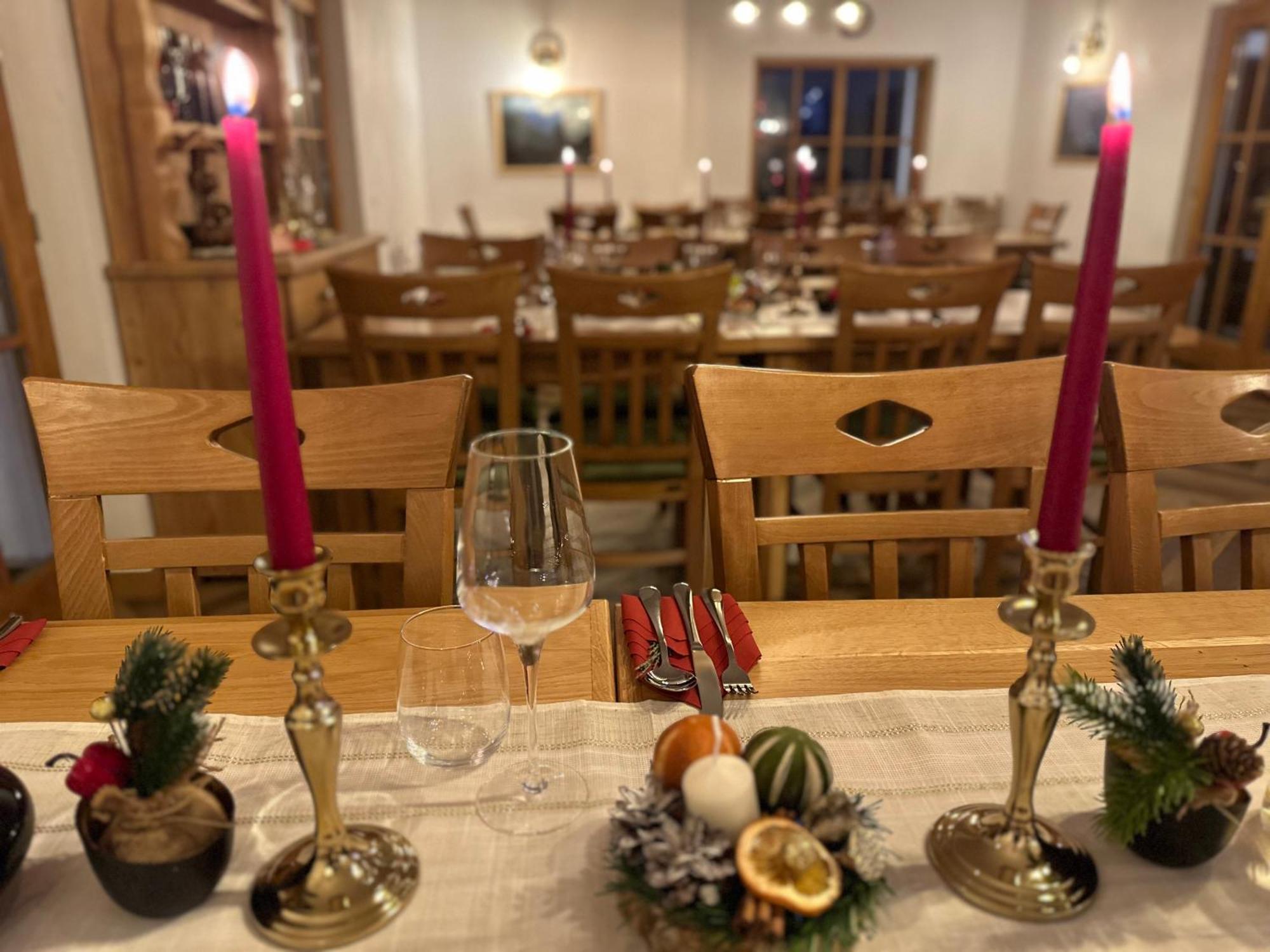 Pensiunea Coronita Vişeu de Sus Extérieur photo